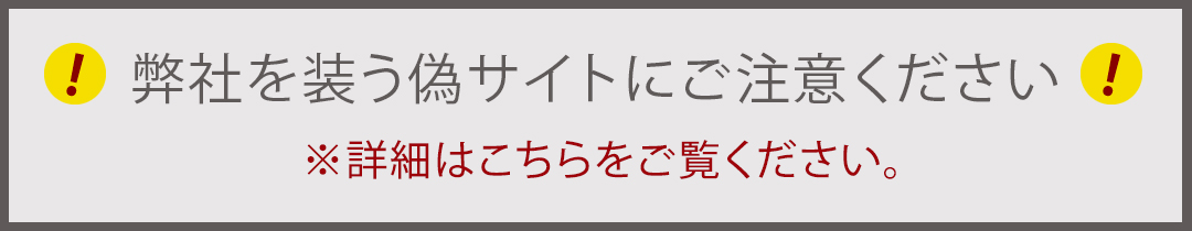 偽サイト